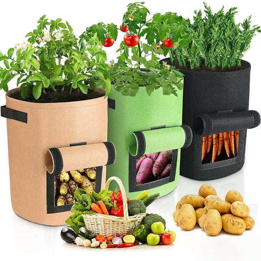 KORALAKIRI 3 Pack Potato Grow Bags 10 Gallon Potato Bag Transparent Window with Durable Handle, Planter Bags for Potato,Tomato, Carrot, Onion