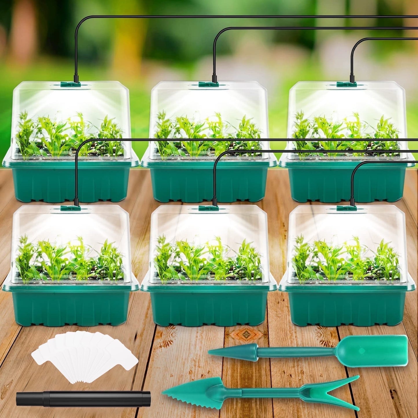 KORALAKIRI 72 Cells Seed Starter Tray with Grow Light, Seed Starter Kit with High Dome, Seed Starting Trays Plant Starter Kit for Seeds Growing