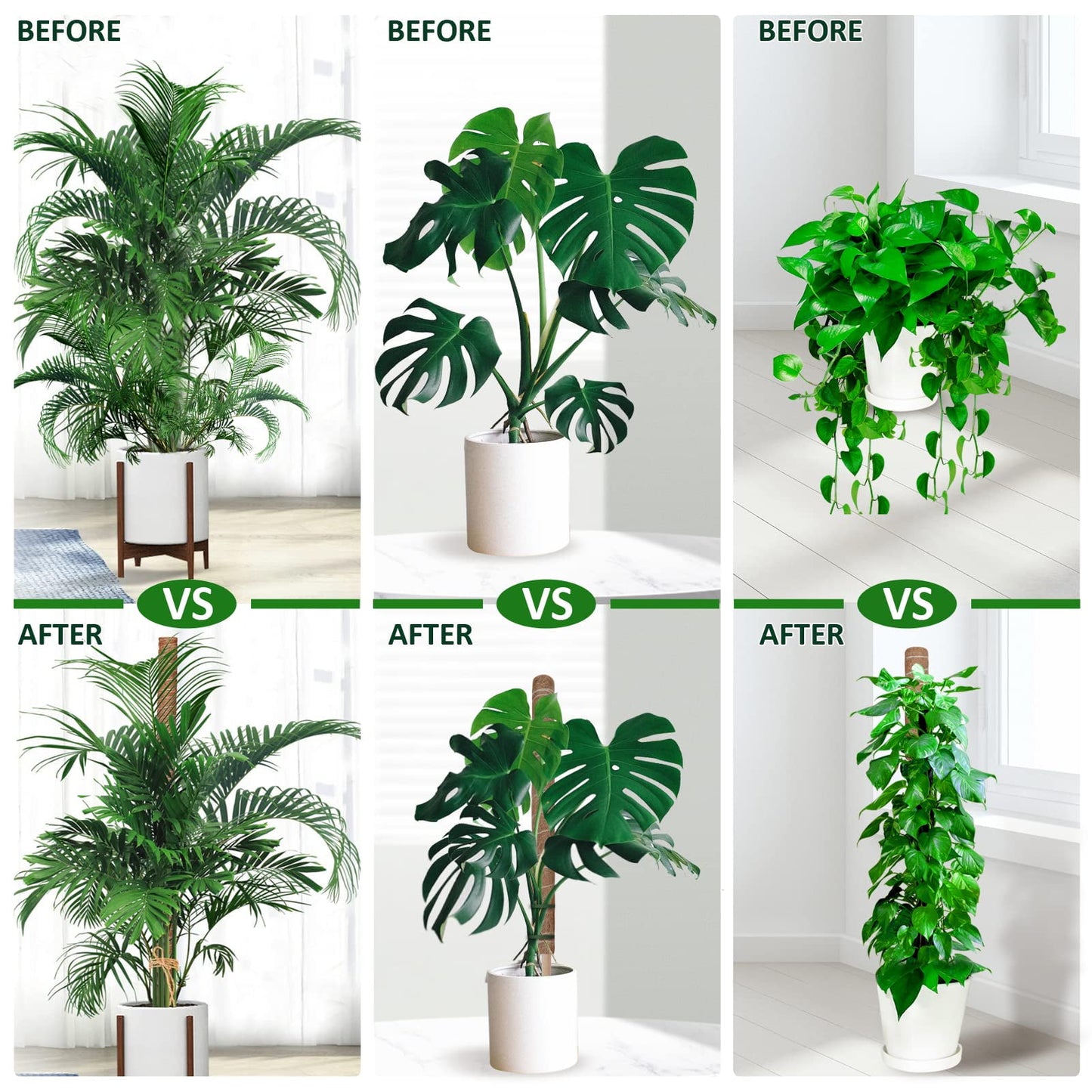 KORALAKIRI 16.5 in H Moss Pole Plant Stakes for Indoor Climbing Plants, with 11.8 in Stakes (6 Pack)