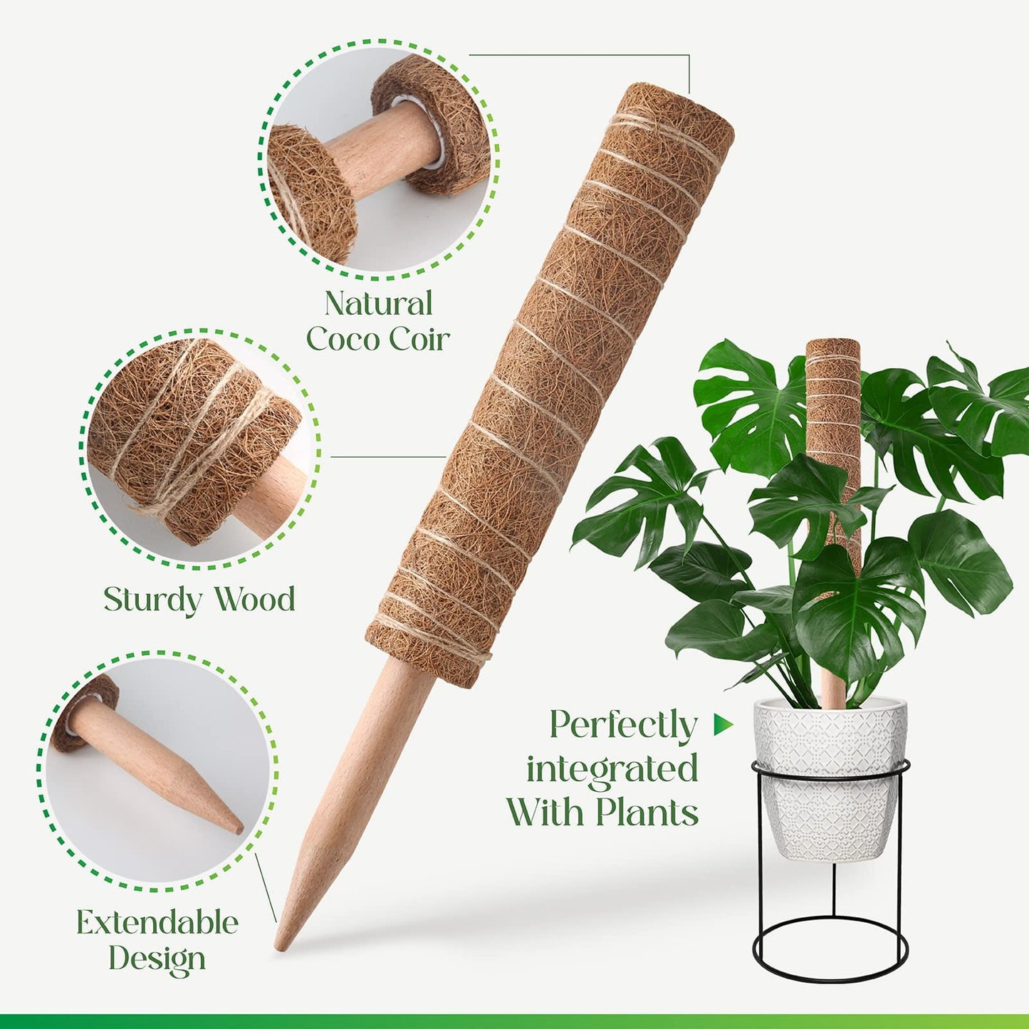 KORALAKIRI 16.5 in H Moss Pole Plant Stakes for Indoor Climbing Plants, with 11.8 in Stakes (6 Pack)