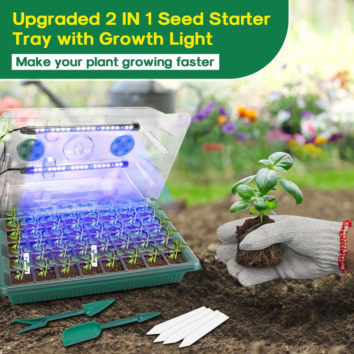 KORALAKIRI 2 Pack Seed Starter Tray with Grow Light, 80 Cells Plant Seed Starter Kit with Timing Controller Adjustable Brightness/Humidity Dome