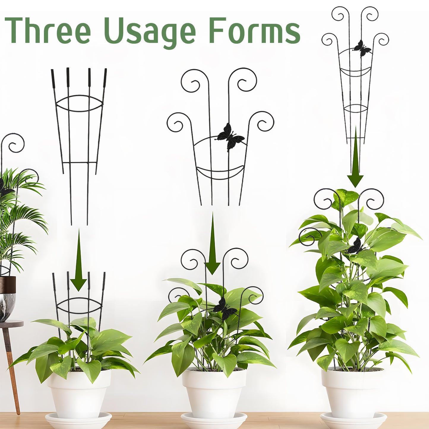 KORALAKIRI 2 Pack Plant Trellis Indoor, 31" Tall Metal Garden Trellis for Climbing Plants, Expandable Trellis for Potted Plants for Ivy Pothos Hoya Monstera