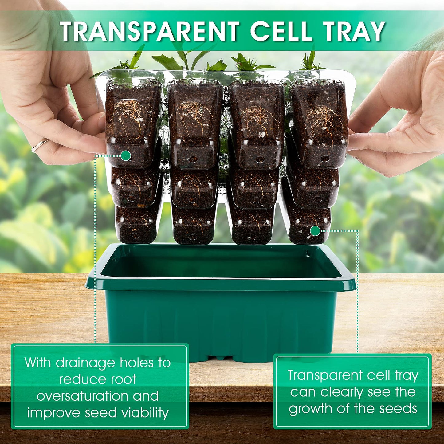 KORALAKIRI 72 Cells Seed Starter Tray with Grow Light, Seed Starter Kit with High Dome, Seed Starting Trays Plant Starter Kit for Seeds Growing
