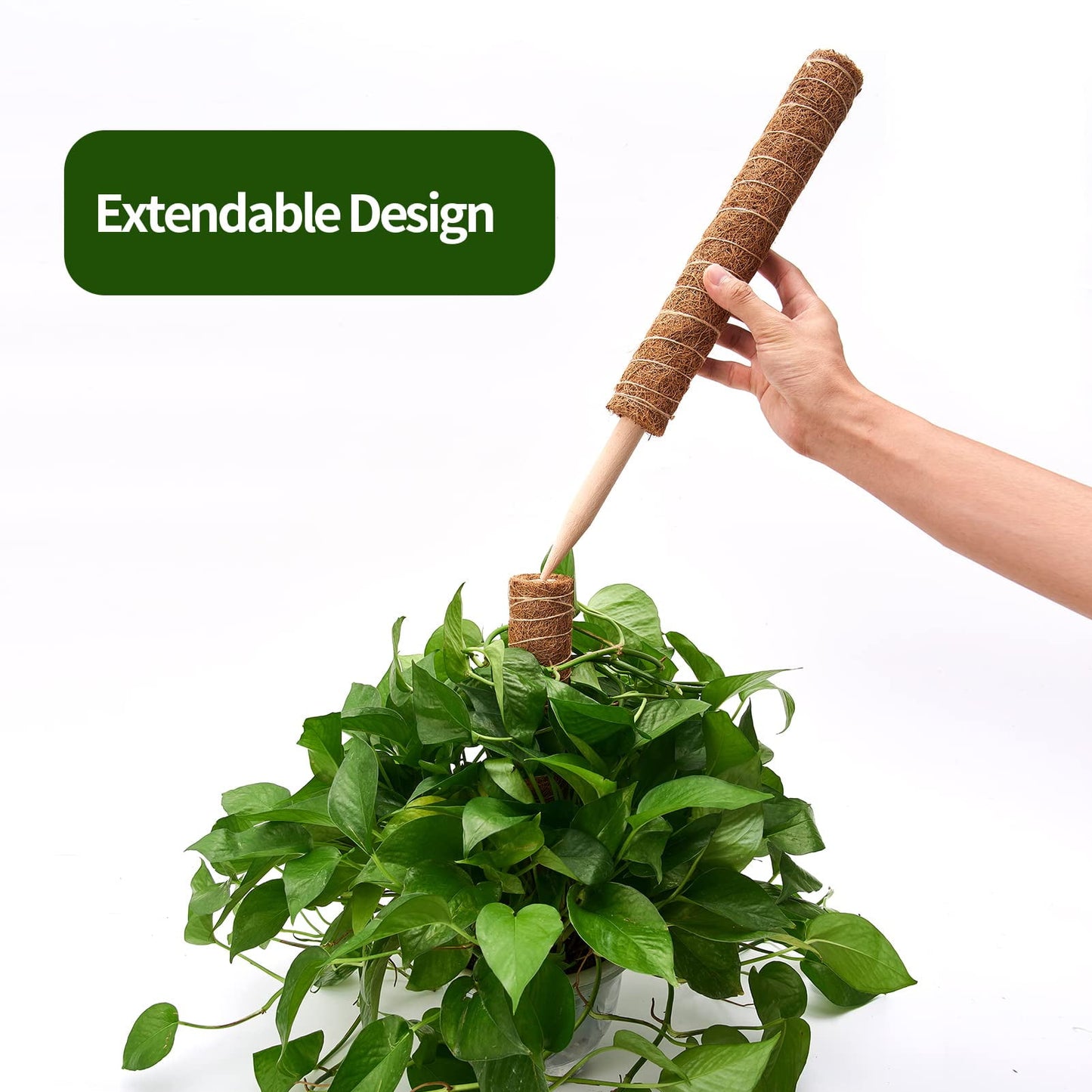 KORALAKIRI 16.5 in H Moss Pole Plant Stakes for Indoor Climbing Plants, with 11.8 in Stakes (6 Pack)