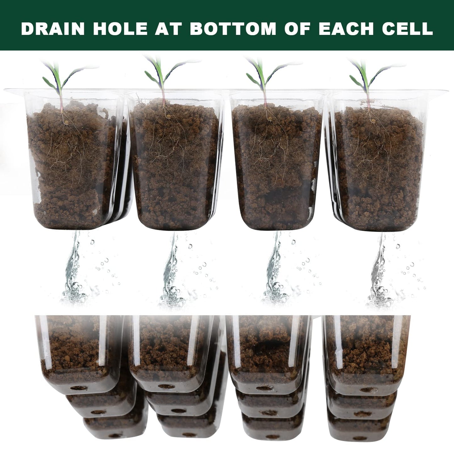 KORALAKIRI 12 Packs Seed Starter Trays (144 Cells), Seed Start Kit with Humidity Dome, Seed Starting Trays Plant Starter and Base Mini Greenhouse