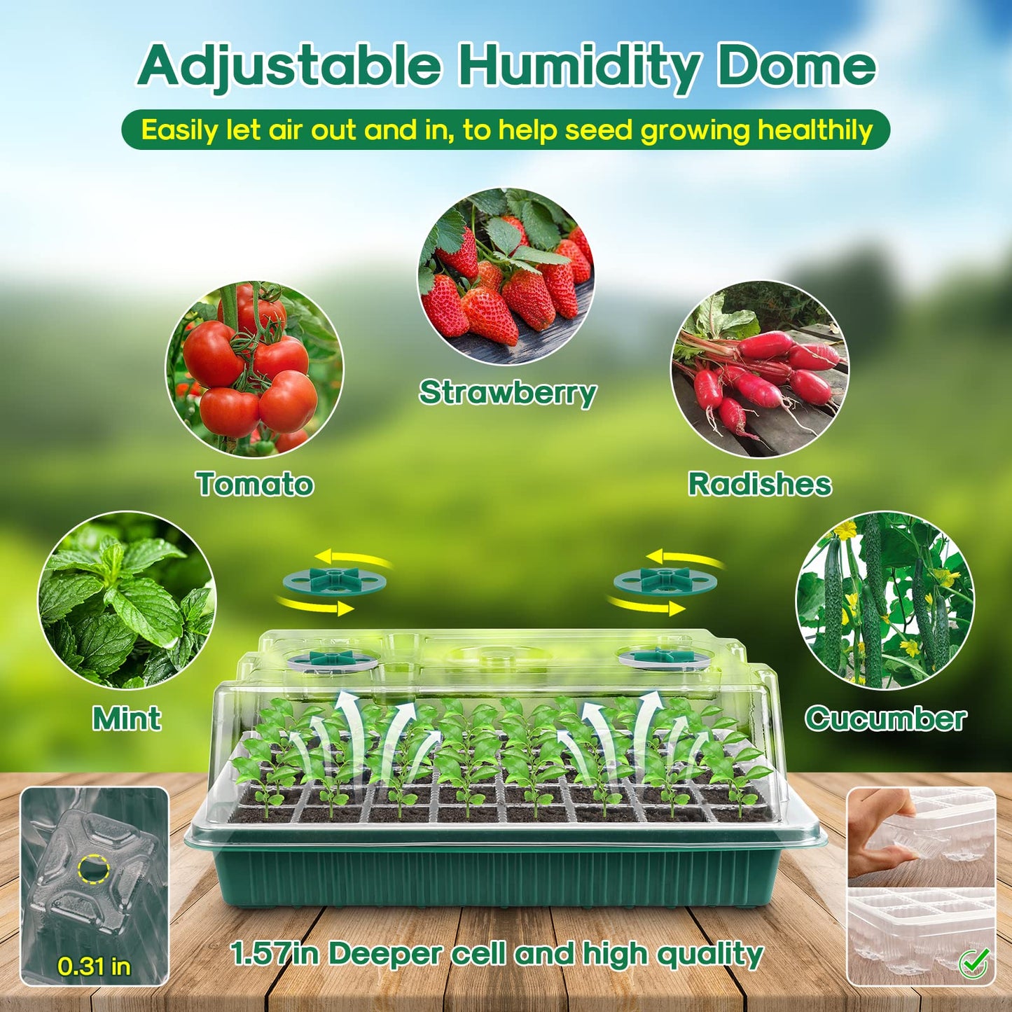 KORALAKIRI 2 Pack Seed Starter Tray with Grow Light, 80 Cells Plant Seed Starter Kit with Timing Controller Adjustable Brightness/Humidity Dome