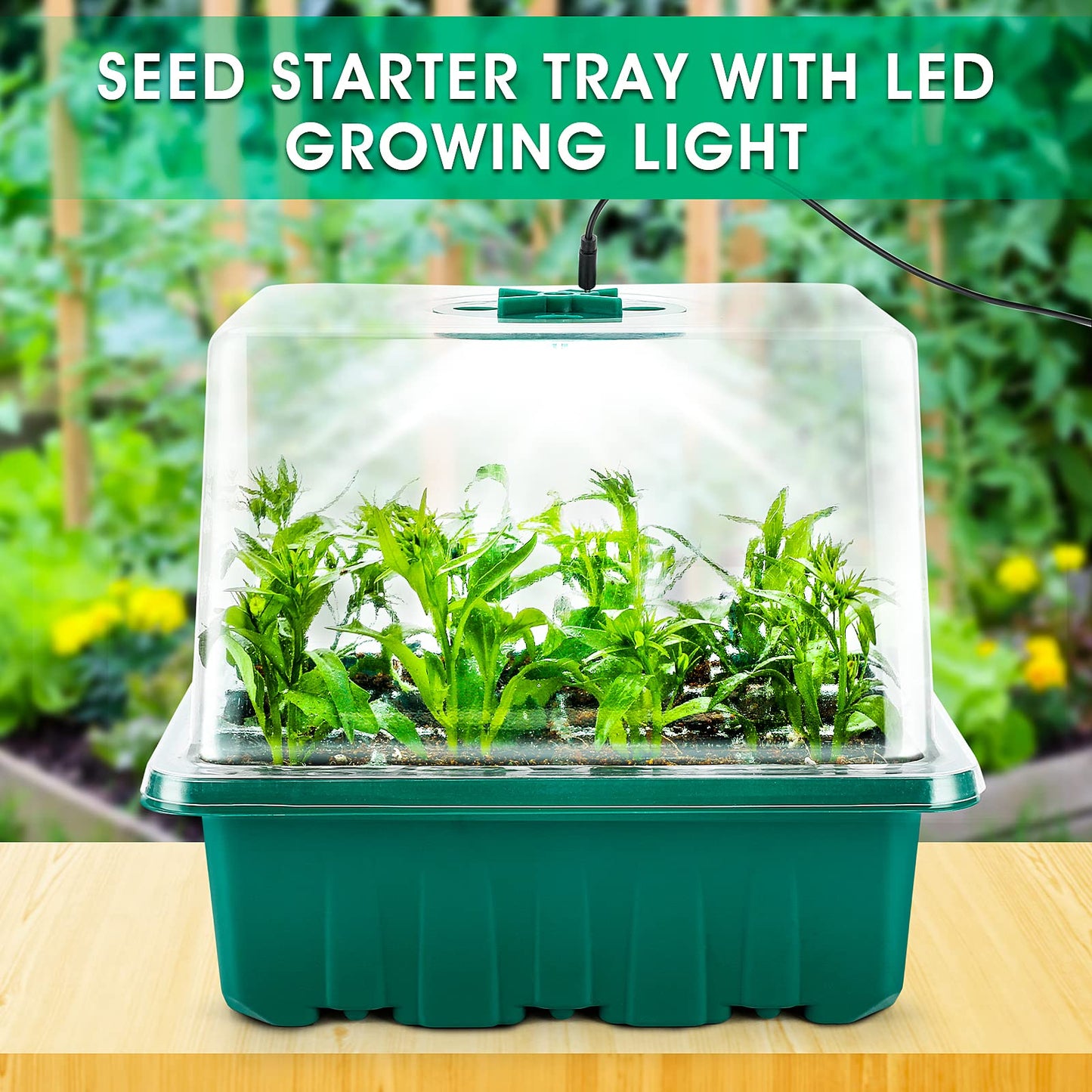 KORALAKIRI 72 Cells Seed Starter Tray with Grow Light, Seed Starter Kit with High Dome, Seed Starting Trays Plant Starter Kit for Seeds Growing