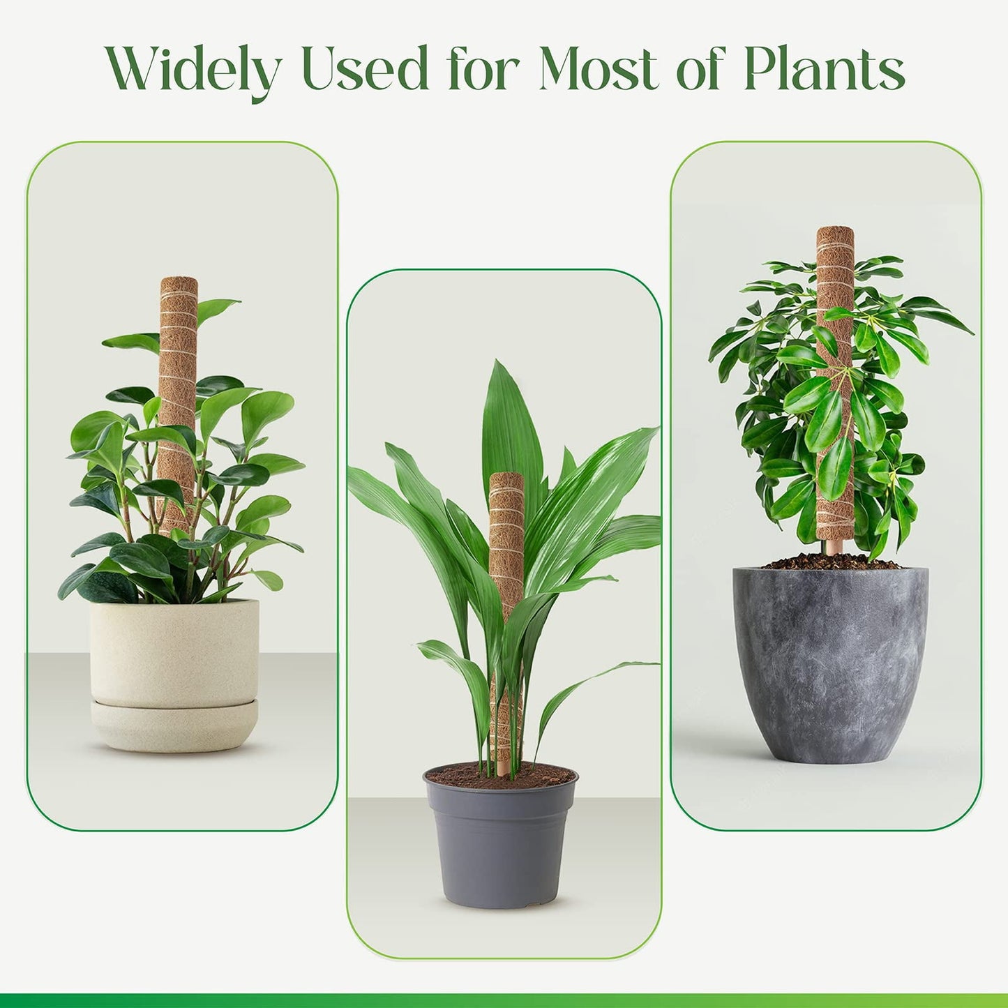 KORALAKIRI 16.5 in H Moss Pole Plant Stakes for Indoor Climbing Plants, with 11.8 in Stakes (6 Pack)