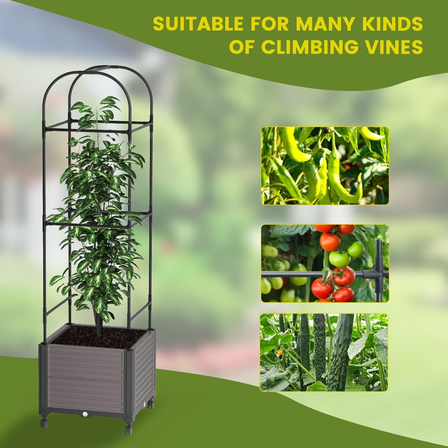 KORALAKIR Planter Trellis, 61" Garden Trellis for Outdoor Plants,Tomato Cage with Trellis for Climbing Plants Vegetable Vine Flowers w/Self-Watering & Wheels