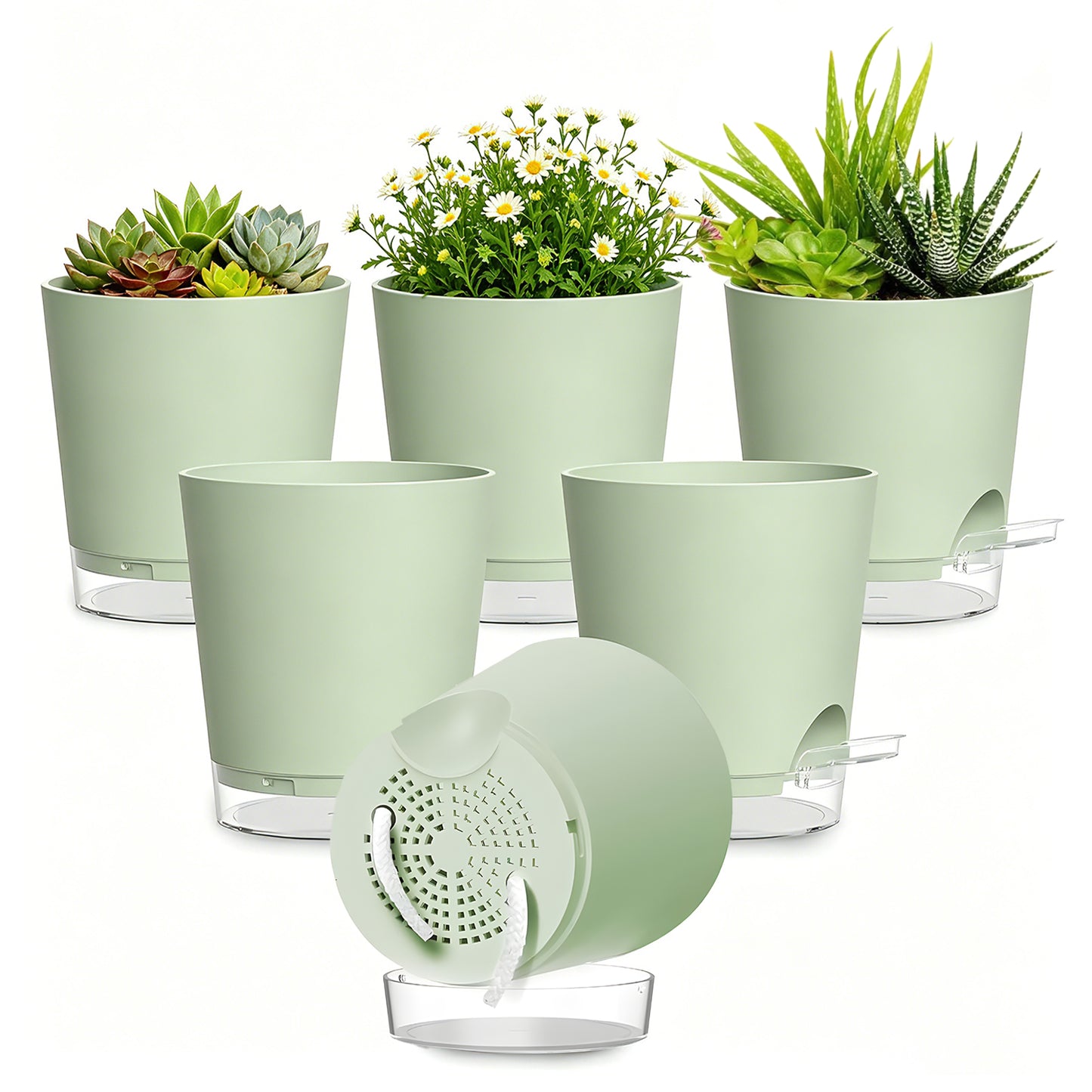 West Bay 4 Inch Self Watering Pots for Indoor Plants, 6 Pack Small Flower Plant Pots with Drainage Holes and Clear Reservoirs, Visible Water Level, Plastic Planters with Wicking Rope, Green