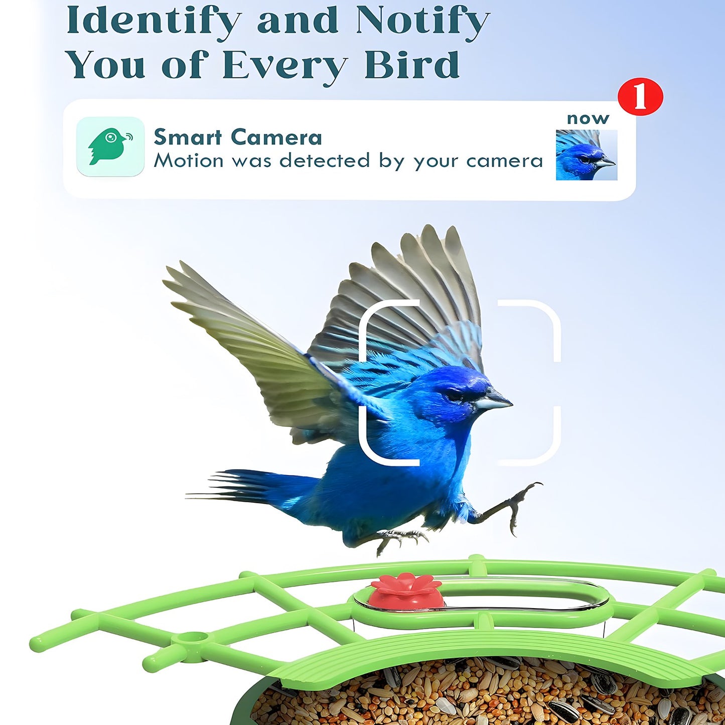 KORALAKIRI Bird Feeder with Camera Outdoor Solar Smart Birdfeeder with Wireless Camera Bird Houses for Outside Garden - 2K Video Live AI Recognition Visible Window Auto Capture