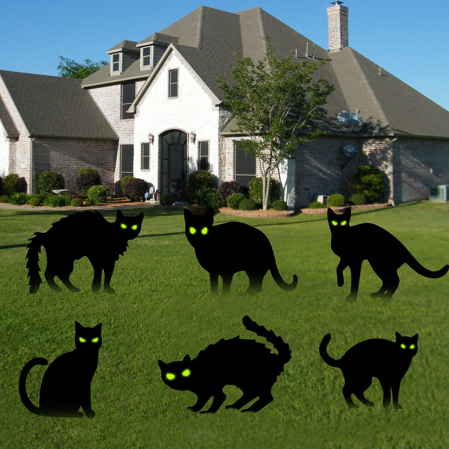 KORALAKIRI 6 pack Halloween Decorations Outdoor, Black Cat with Reflective Eyes for Garden Lawn,Halloween Yard Signs Stakes Scare Cat for Outdoor