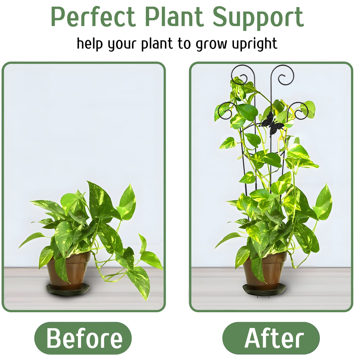 KORALAKIRI 2 Pack Plant Trellis Indoor, 31" Tall Metal Garden Trellis for Climbing Plants, Expandable Trellis for Potted Plants for Ivy Pothos Hoya Monstera