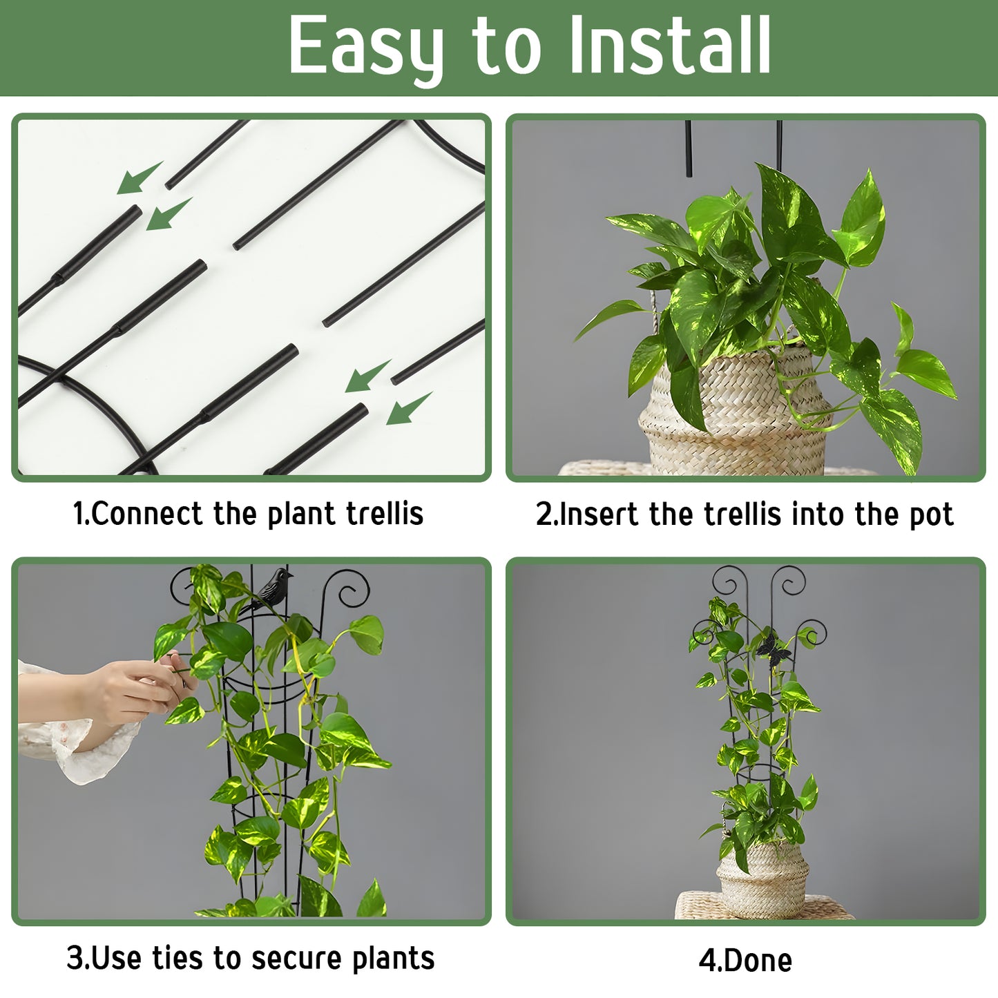 KORALAKIRI 2 Pack Plant Trellis Indoor, 31" Tall Metal Garden Trellis for Climbing Plants, Expandable Trellis for Potted Plants for Ivy Pothos Hoya Monstera
