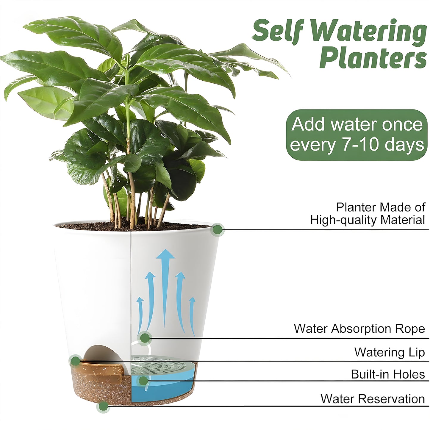 West Bay 6-Pack Self Watering Planters, Indoor Outdoor large flower pot plant pots with Drainage Holes and Saucers, 8, 7, 6.5, 6, 5.5, 5 Inches, White