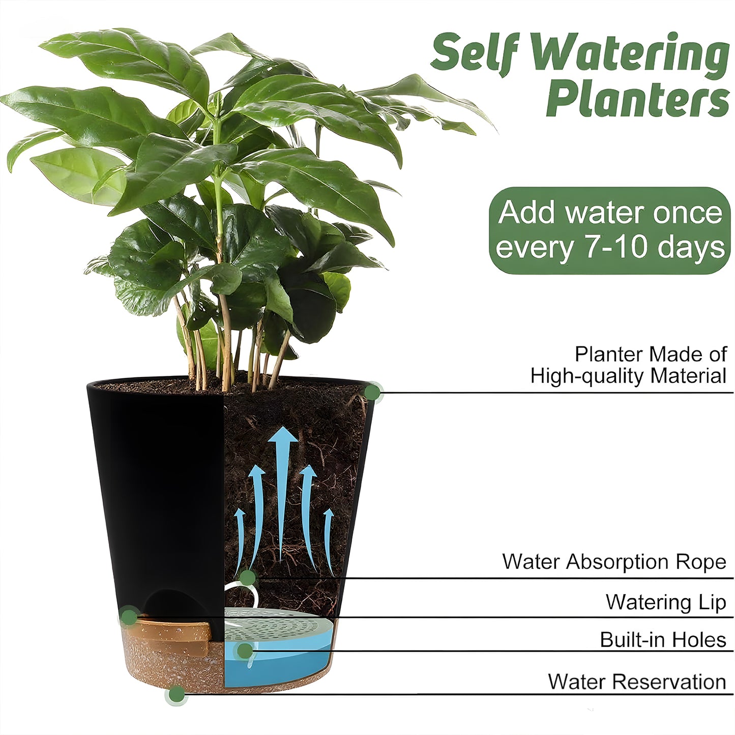 West Bay 6-Pack Self Watering Planters, Indoor Outdoor large flower pot plant pots with Drainage Holes and Saucers, 8, 7, 6.5, 6, 5.5, 5 Inches, Black