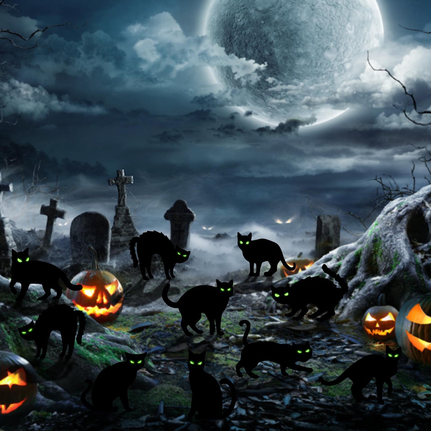 KORALAKIRI 6 pack Halloween Decorations Outdoor, Black Cat with Reflective Eyes for Garden Lawn,Halloween Yard Signs Stakes Scare Cat for Outdoor