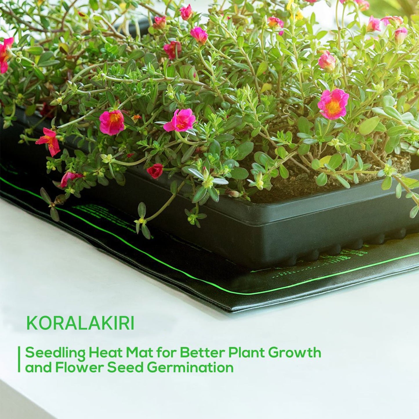 KORALAKIRI Seedling Heat Mat, Durable Warm Hydroponic Heating Pad Waterproof 10" x 20.75" - 2 Pack for Seed Starting Greenhouse and Germination