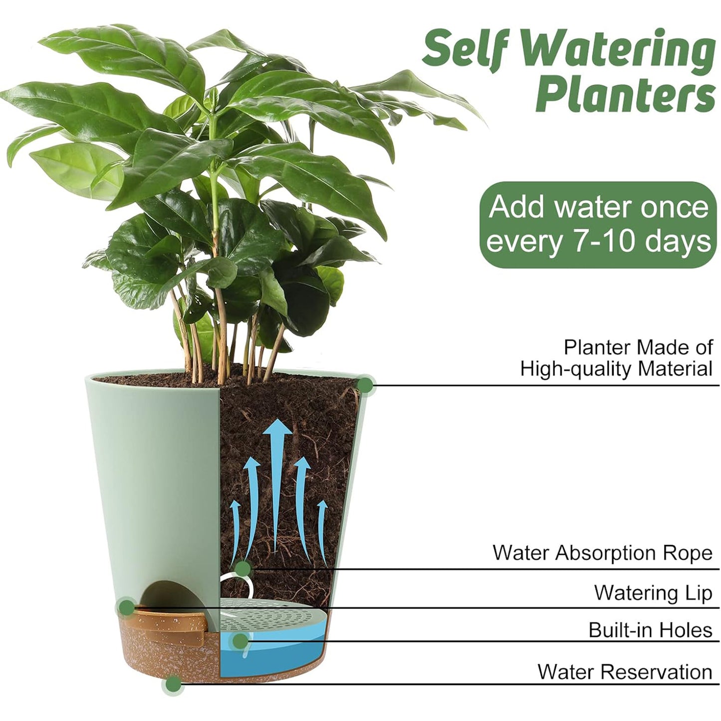 West Bay 6-Pack Self Watering Planters, Indoor Outdoor large flower pot plant pots with Drainage Holes and Saucers, 8, 7, 6.5, 6, 5.5, 5 Inches, Green
