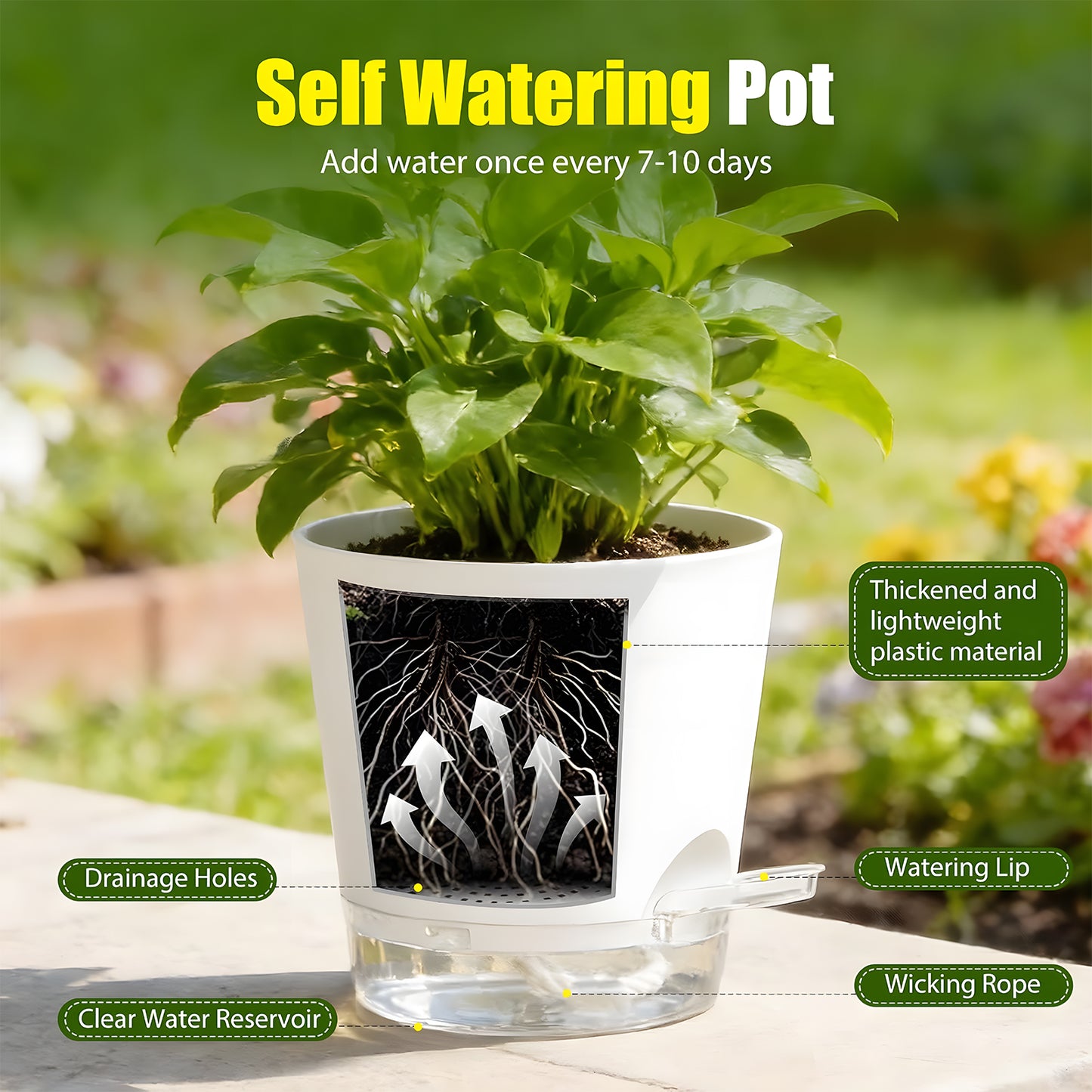 West Bay 7-Pack Self Watering Pots for Indoor Plant, Flower Pot with Drainage Holes and Clear Saucers, 4/5/5.5/6/6.5/7/8 Inch, White
