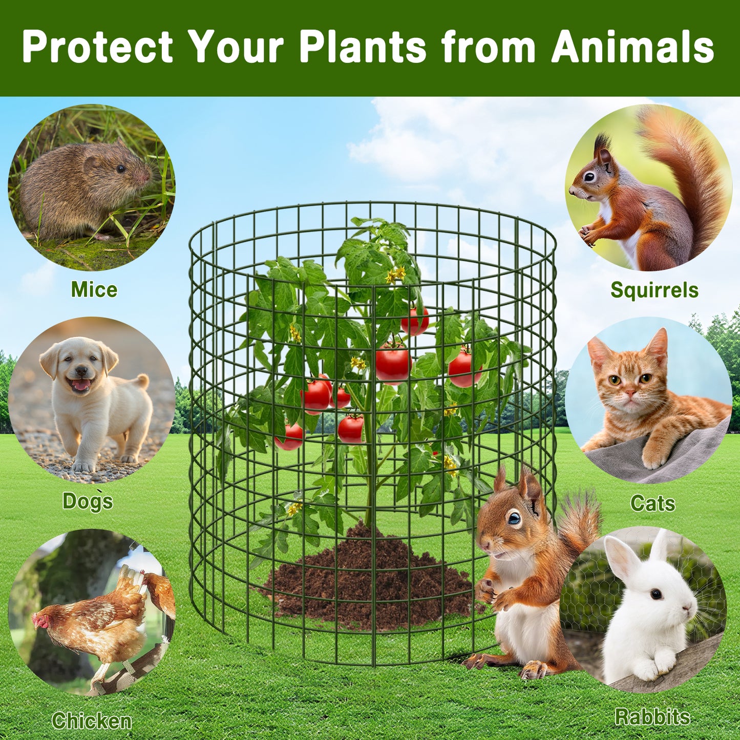 KORALAKIRI Plant Protector from Animals, Plant Cages for Outdoor Plants, Metal Wire Mesh Garden Protection Animal Barrier to Keep Flower Vegetables from Rabbit Chicken