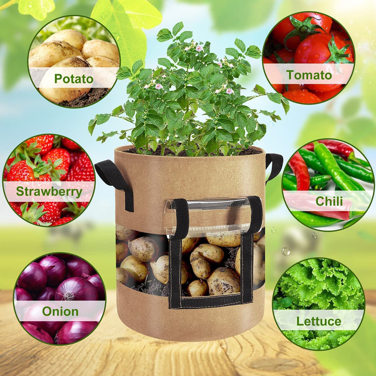 KORALAKIRI 3 Pack Potato Grow Bags 10 Gallon Potato Bag with 360° Visible Window, Planter Bags for Potato,Tomato, Carrot, Onion(Brown)
