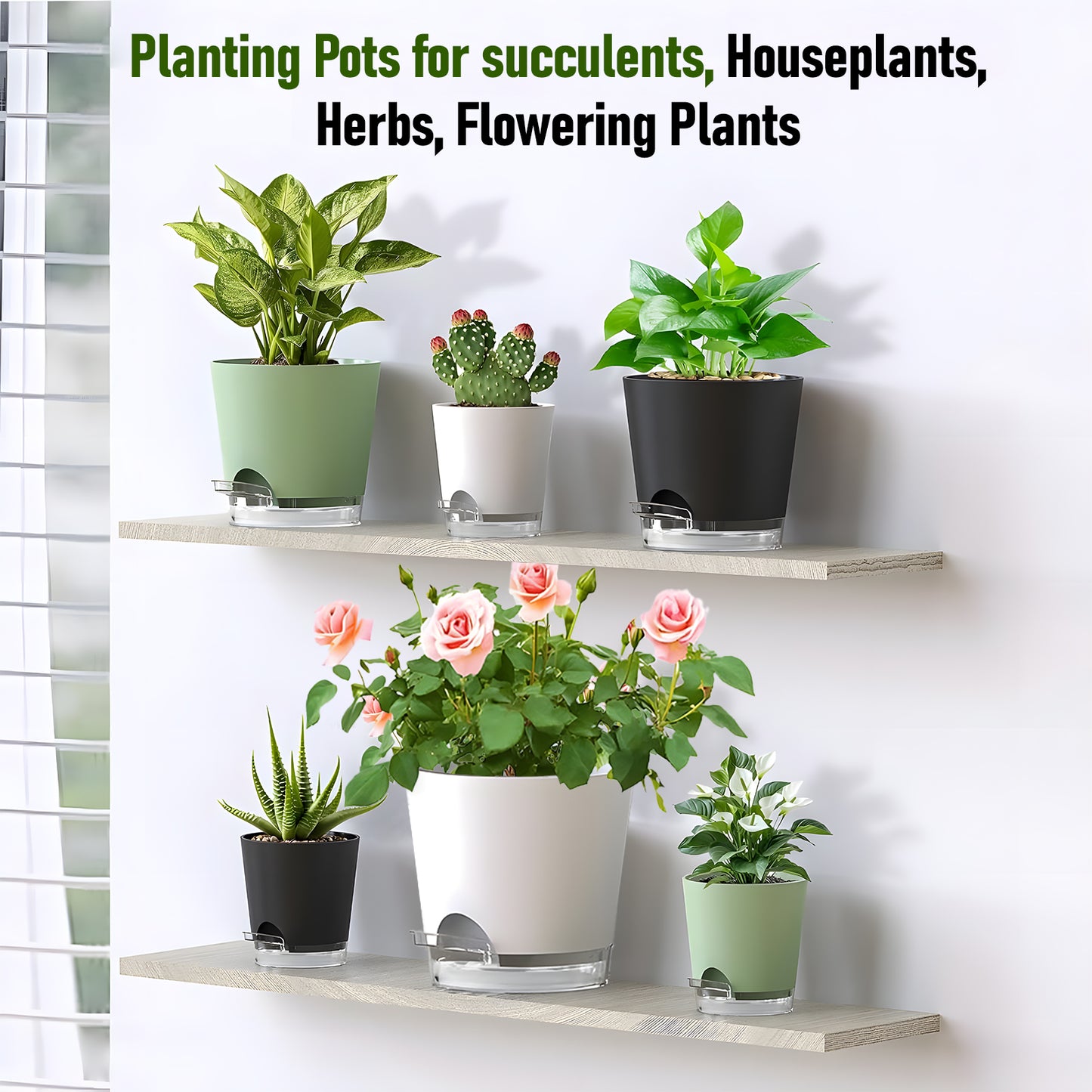 West Bay 7-Pack Self Watering Pots for Indoor Plant, Flower Pot with Drainage Holes and Clear Saucers, 4/5/5.5/6/6.5/7/8 Inch, Black